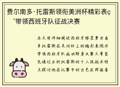 费尔南多·托雷斯领衔美洲杯精彩表现带领西班牙队征战决赛