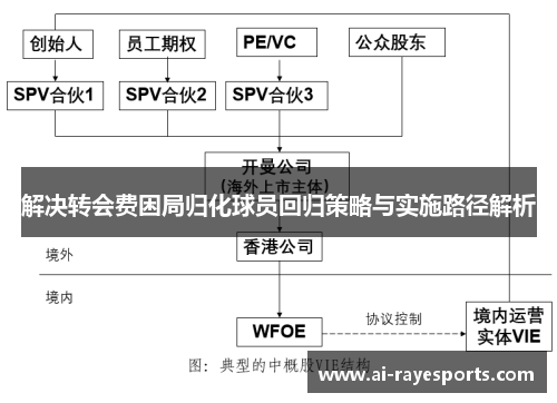 解决转会费困局归化球员回归策略与实施路径解析 解决转会费困局归化球员回归策略与实施路径解析