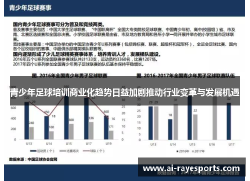 青少年足球培训商业化趋势日益加剧推动行业变革与发展机遇 青少年足球培训商业化趋势日益加剧推动行业变革与发展机遇